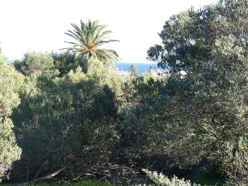 0 Bedroom Property for Sale in Shelley Point Western Cape
